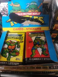 Teenage Mutant Ninja Turtles TMNT Series 1 Pack Personal Personal Break