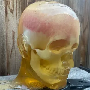 Ballistic Gel Head with Skull & Brain – Hybrid Gel Shooting Target – Life-Size Reusable Gel Head for Firearms & Archery Testing – GoBallisticNW