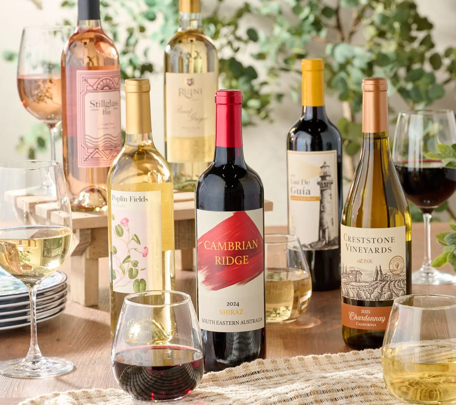Vino Voyage (12) 750ml Wines of the World Bottle Set