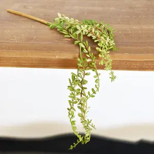 Mini Hanging Succulent