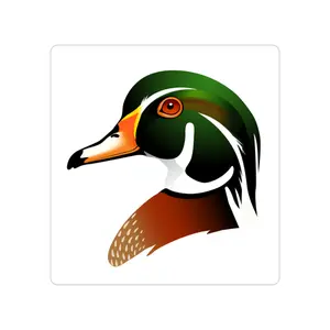 Wood Duck Sticker