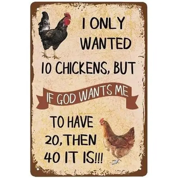 warning,funny,private,solicit,decorative,I Only Want Chickens - Chicken Decor Sign - Chicken Yard Decor - Chicken Toys - Chicken Coop Accessories - Chicken Gifts For Chicken Lovers