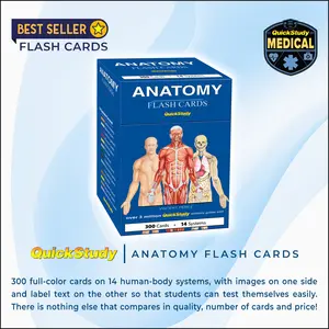 QuickStudy Anatomy Flash Cards - 300 Colorful Cards with Detailed Illustrations for 14 Human Body Systems - Best Selling Medical Study Tool