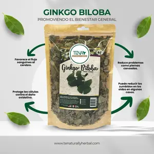 Ginkgo Biloba Leaf Premium 4 oz Herbal Tea Bag – Supports Cognitive Function & Enhances Circulation – Naturally Caffeine-Free Beverage
