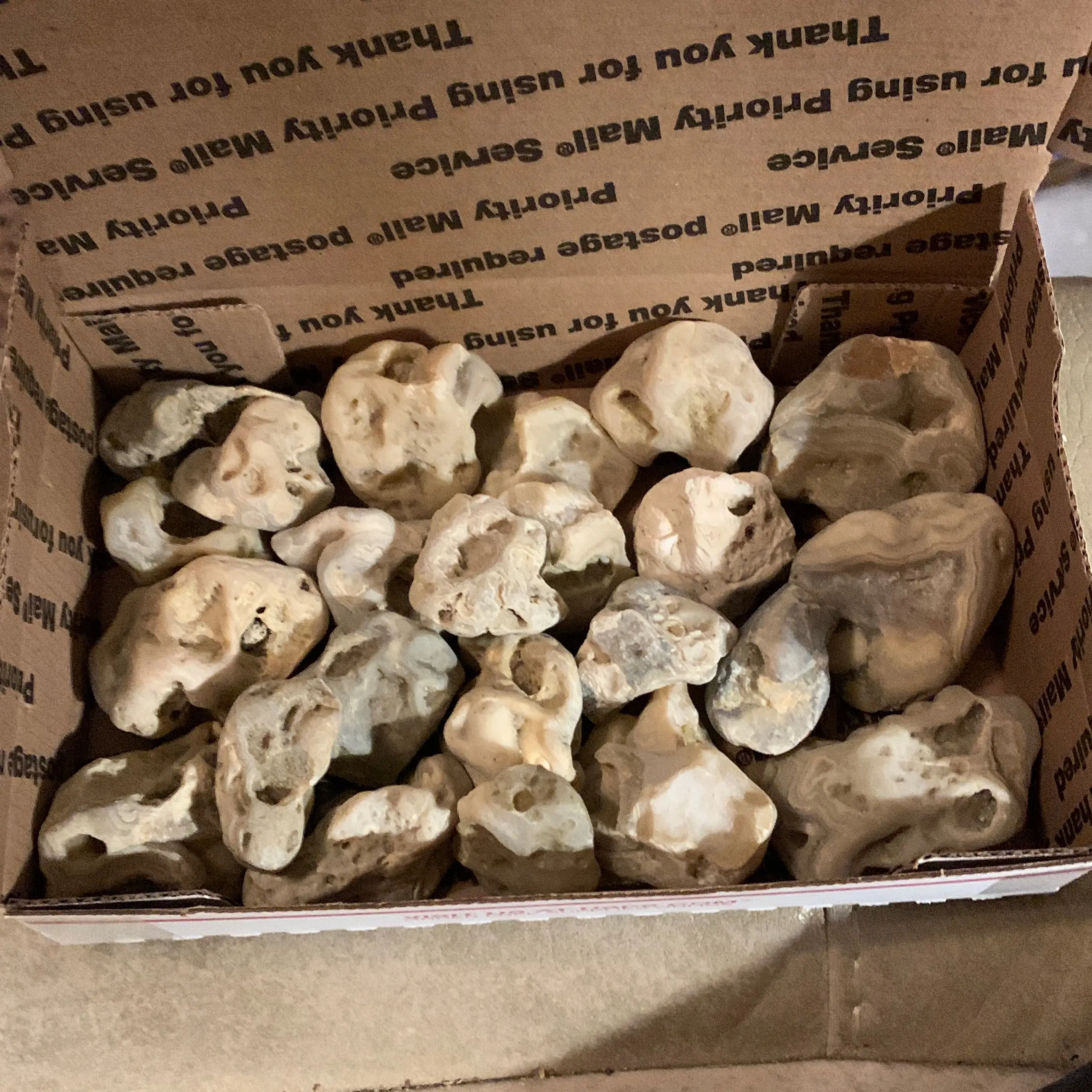 Crowley Ridge Agates 2.5 pounds of Louisiana State Agates rough found by me Cajun Rockhound stones