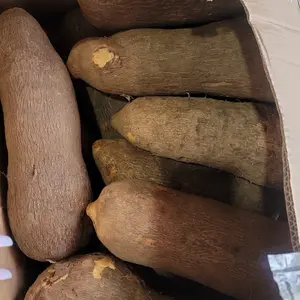 Real Ghana Puna Yam
