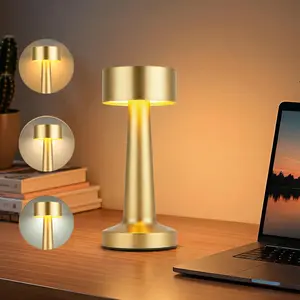 Portable LED Table Lamp, 3-Levels Brightness Metal Desk Lamp,3 Color Touch Control Rechargeable Lamp, Ideal Bedside Lamp for Nightstand,Bedroom, Living Room (Silver)