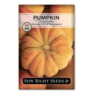Cinderella Pumpkin