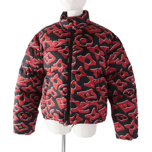Pre-owned Louis Vuitton Polyester Small Leather Goods Urs Fischer Down Jacket