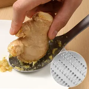 Stainless Steel Ginger Grater Spoon – Garlic Grinder, Lemon Lime Zester, Cheese & Wasabi Grating Tool, Kitchen Gadget