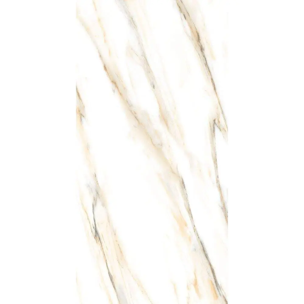 AGL Calacatta Gold Polished 24 x 48