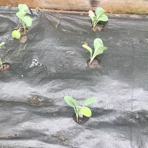 VEVOR Premium Weed Barrier Fabric Heavy Duty, TikTokShopBlackFriday, Woven Weed Control Fabric, High Permeability for Flower Beds & Geotextile Underlayment VEVOR Super Brand Day