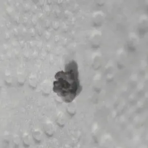 review image 4