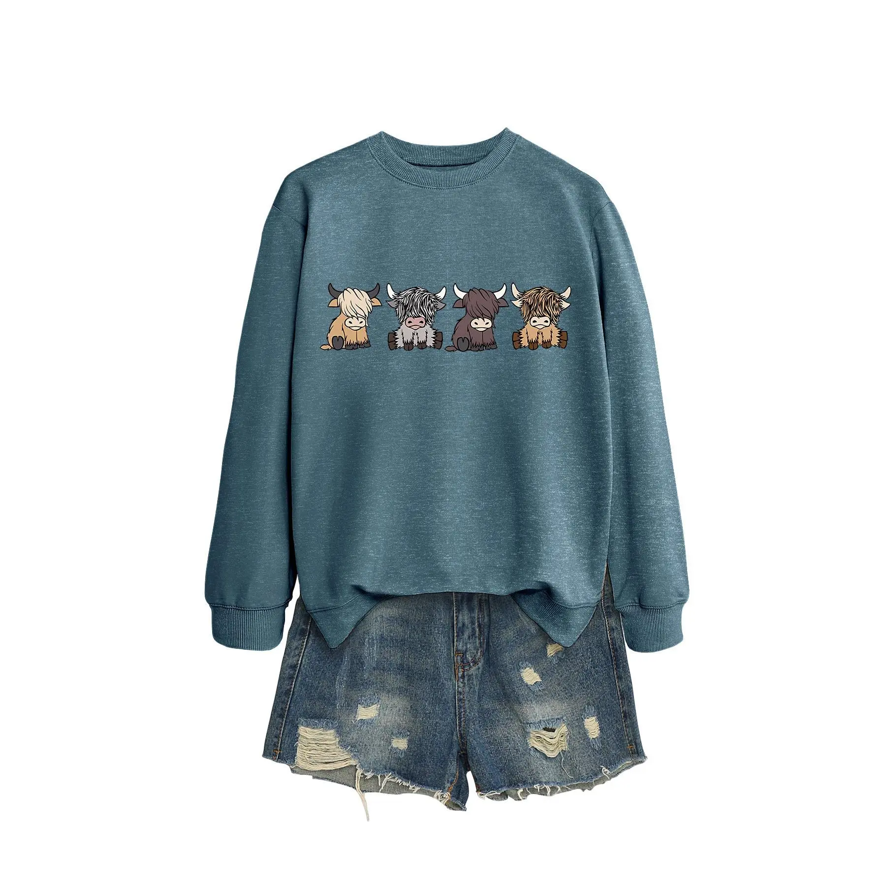 Blue hoodie (color picture)