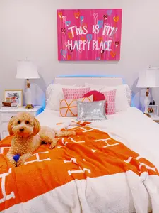 H Blanket