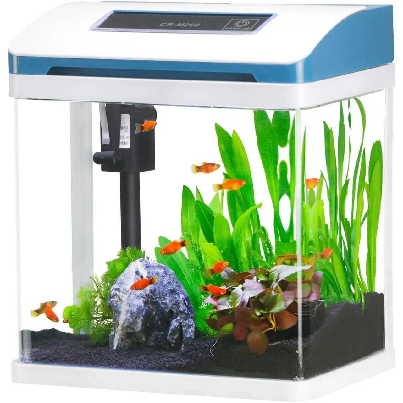 Small Fish Tank 2 Gallon Glass Aquarium Starter Kits Self Cleaning with Colorful LED Light for Betta Shrimp Guppy Jellyfish Goldfish Desktop