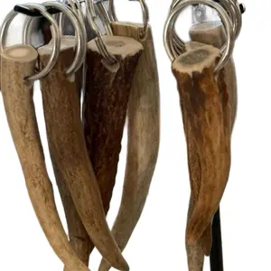 Natural Antler Keychain - Authentic Whole Antler Tips with Secure Black Ring & Loop Attachment for Everyday Essentials