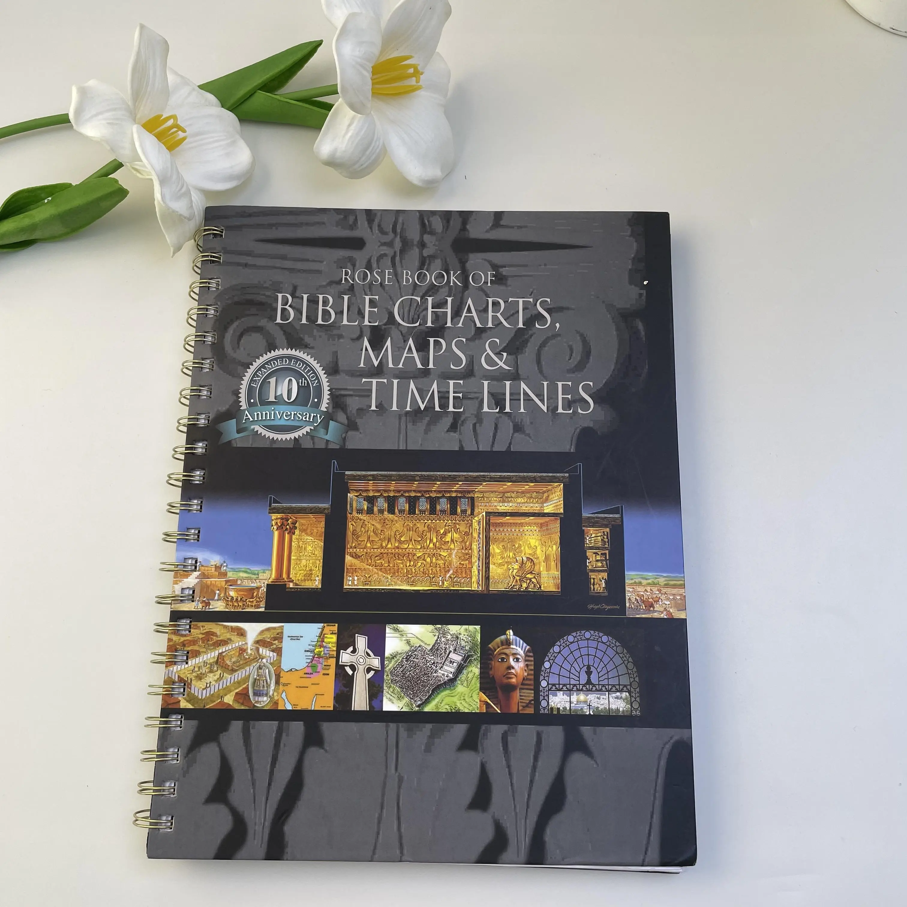 Rose Book of Bible Charts Maps & Time Lines 10th Anniversary Edition Spiral Bound Visual Reference Guide with Study Notebook for Personal Devotions & Sunday School Classes