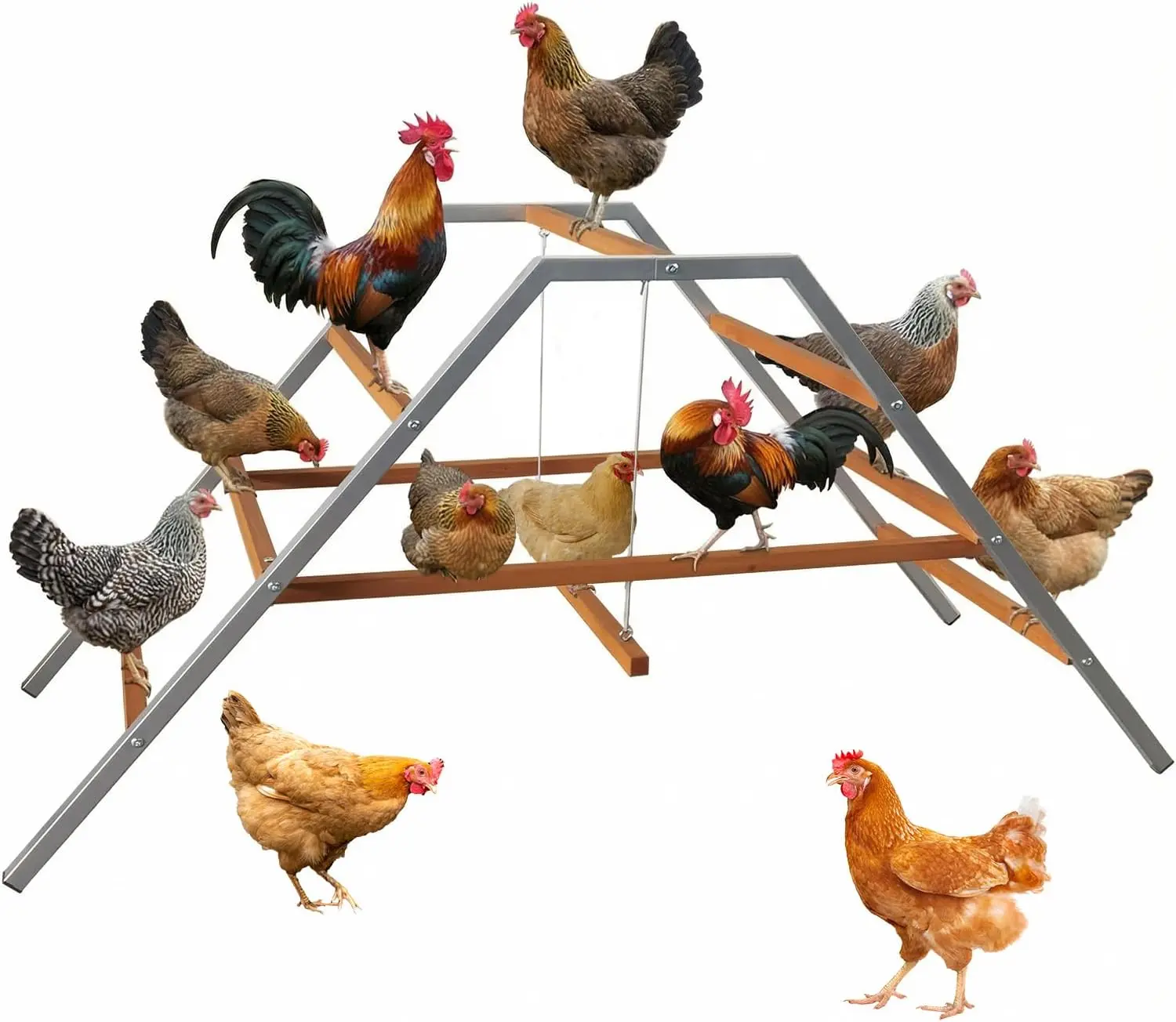 Chicken Roosting Bars for Coop Accessories, Chicken Perches with Swing for 10-12 Chickens, Wooden Chicken Ladder for Pet's Healthy & Happy, Easy to Assemble and Clean