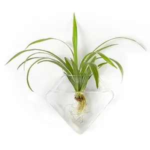 SAN Tread Wall Planter Hanging Propagation Stations, Glass Flower Vase Pots Holder for Hydroponic Plants, Indoor Home Office Living Room Bathroom Wall Decor Gifts Pack of 2