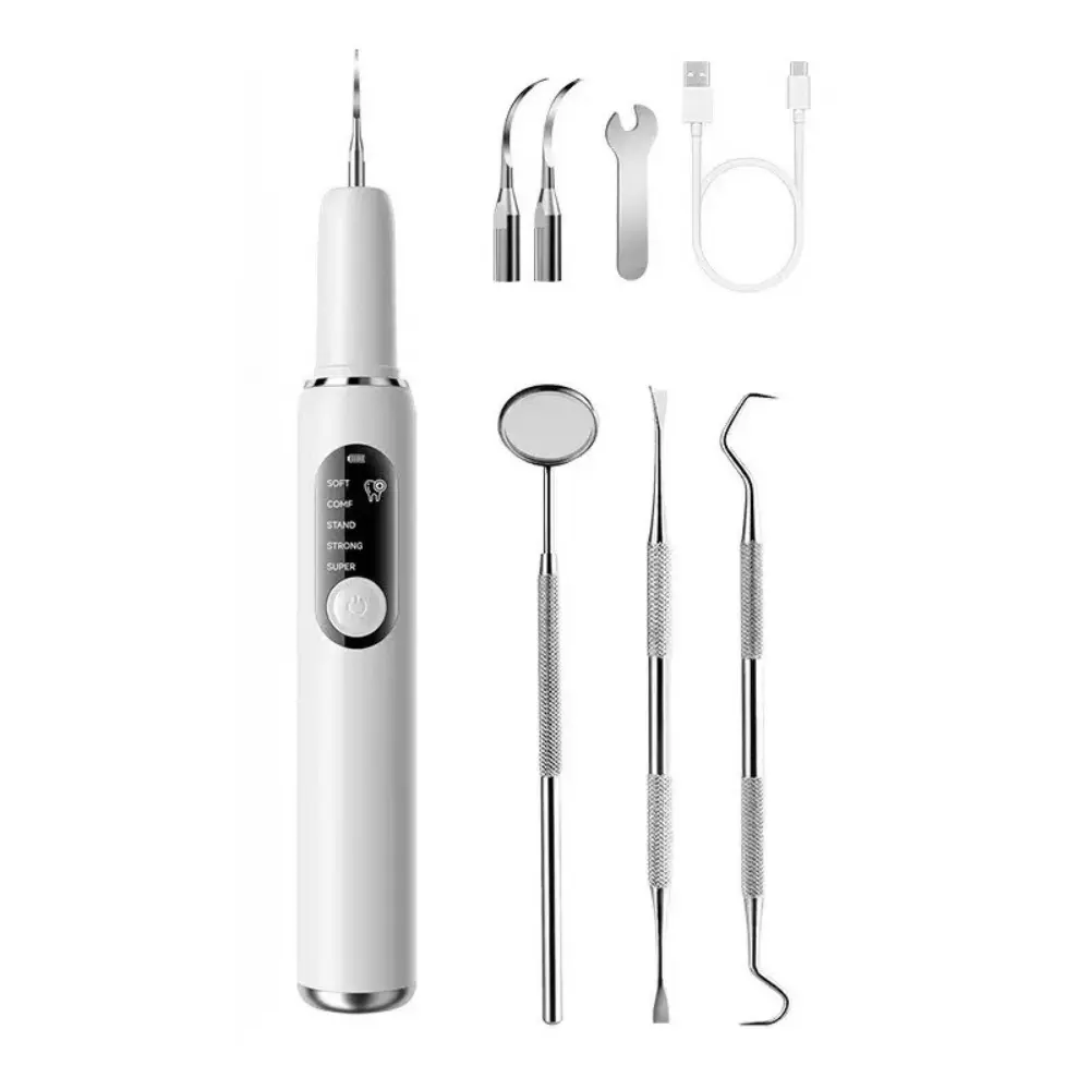 LED Electric Dental Cleaner - 5 Modes Plaque Removal & Tartar Remover, USB Rechargeable Oral Care Device with 3 Replacement Heads, Interdental Cleaner & Gum Massager for Daily Hygiene, Portable Cost-Effective Solution, Self Care Gadgets