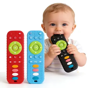 Baby Silicone Remote Control Teether Toy, Early Education Sensory Toy for 0-36 Months Toddlers, Birthdays and Holidays Gift