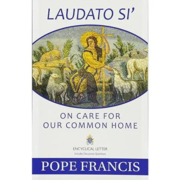 USED Book - Laudato Si': On Care for Our Common Home by Pope Francis (Paperback) - english