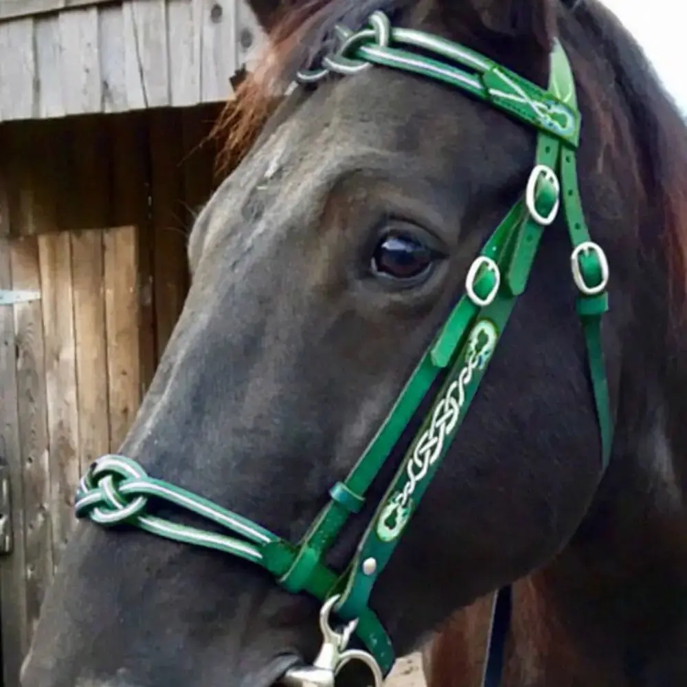 Horses Bridle/Halters Adjustable Multi Color Opt