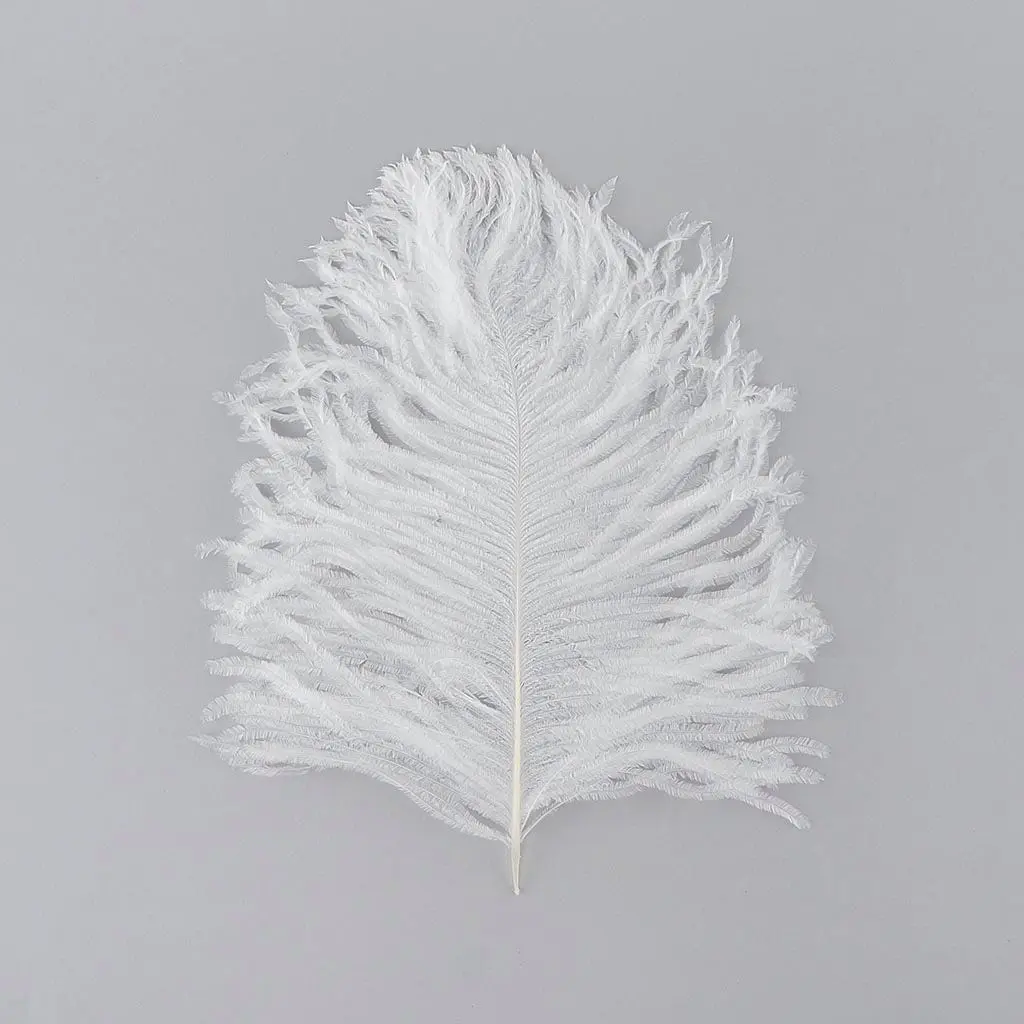 Ostrich Tail Feathers - Cut Tops  5-11 inch - 12 pcs  - White