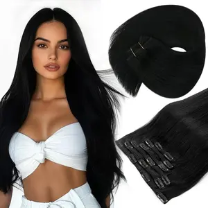 Sunny Hair Clip in Hair Extensions 12inch-24inch 7PCS Natural Straight 120G-135G"Weight for Daily,Occasions and Holiday Gifts for Women Hairpiece Holiday Hair kpop idols hair extensions #TikTokShopJumpstartSale