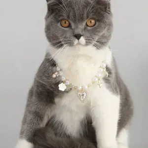 Pet collar, cute aesthetic pet collars