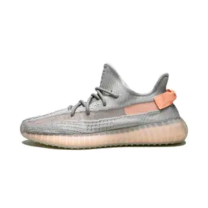 Yeezy Boost 350 V2 "True Form" EG7492