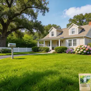 6000 Seeds Rapid Growth Lawn Grass – No Bald Spots, All-Weather Hardy, Perfect for Dense Turf & Golf Greens