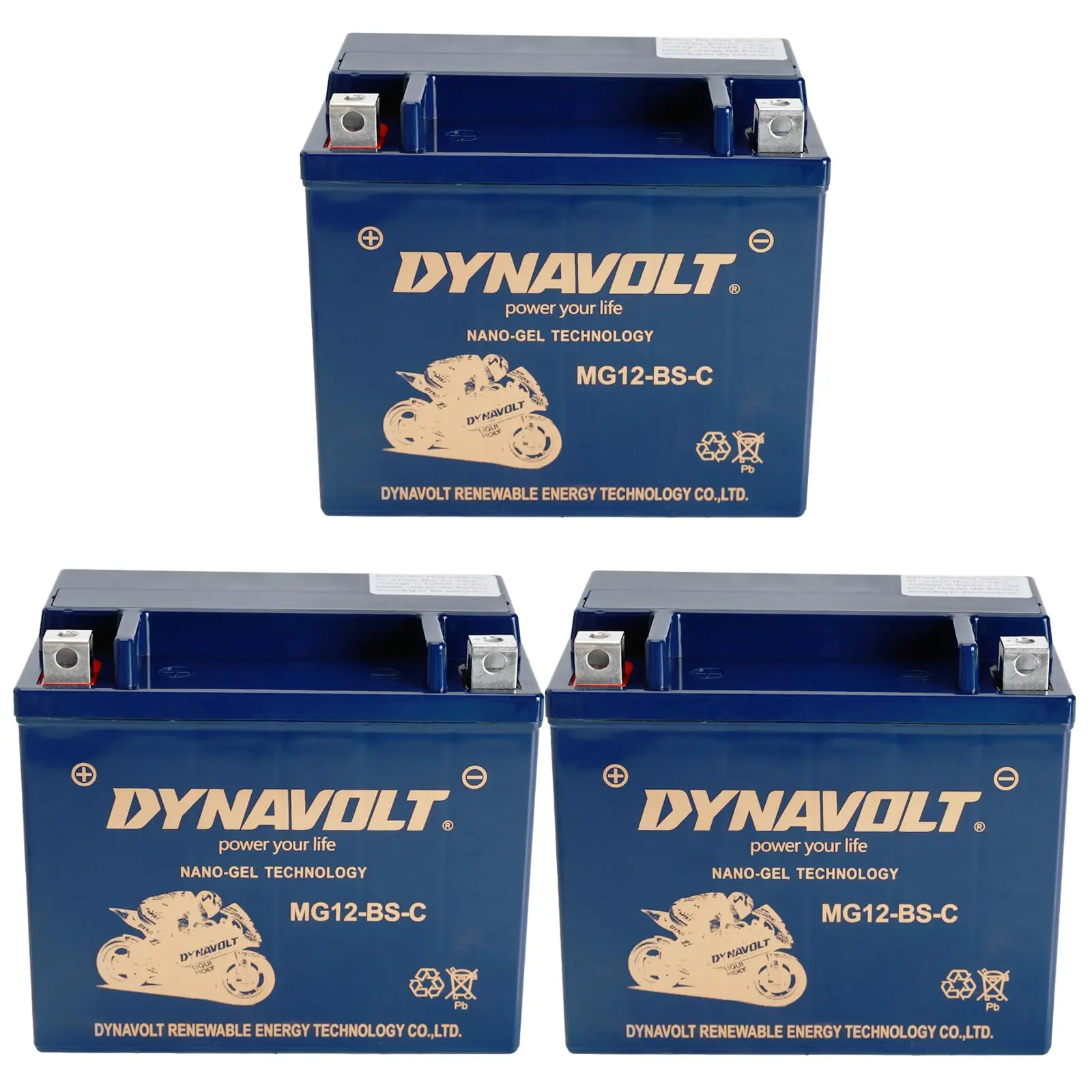 12V 12Ah SLA AGM Motorcycle Battery Rechargeable Start Batteries for Go Kart ATV UTV Drift Trike Golf Cart Quad Buggy Dune Moped Lawn Mower 4 Wheeler Tricycle 125cc 140cc 150cc 160cc 200cc 250cc 300cc