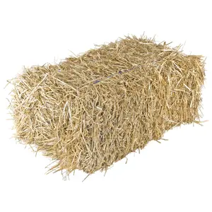 Garden Elements Straw Bale by Shady Creek Farm, Multi-Use for Farm & Home, Medium, 22"