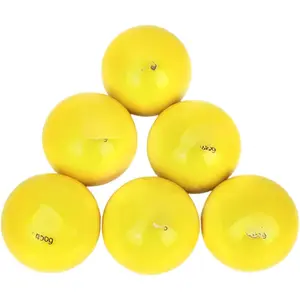 6-Pack Weighted Balls, Weighted Softballs Baseballs for Hitting , Baseball Softball Batting Trainers, Heavy Balls for Batting Practice, Baseball Coaching Accessories