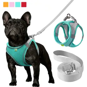 2Pc/set Reflective Cat Dog Leash And Harness Set - Durable Reflective Harness, Comfortable, Breathable Mesh Vest With Padded Nylon Lead For Small To Medium Breeds Pet Collars - No-Choke Design with Dual D-Ring Leash Combo, Leash Included