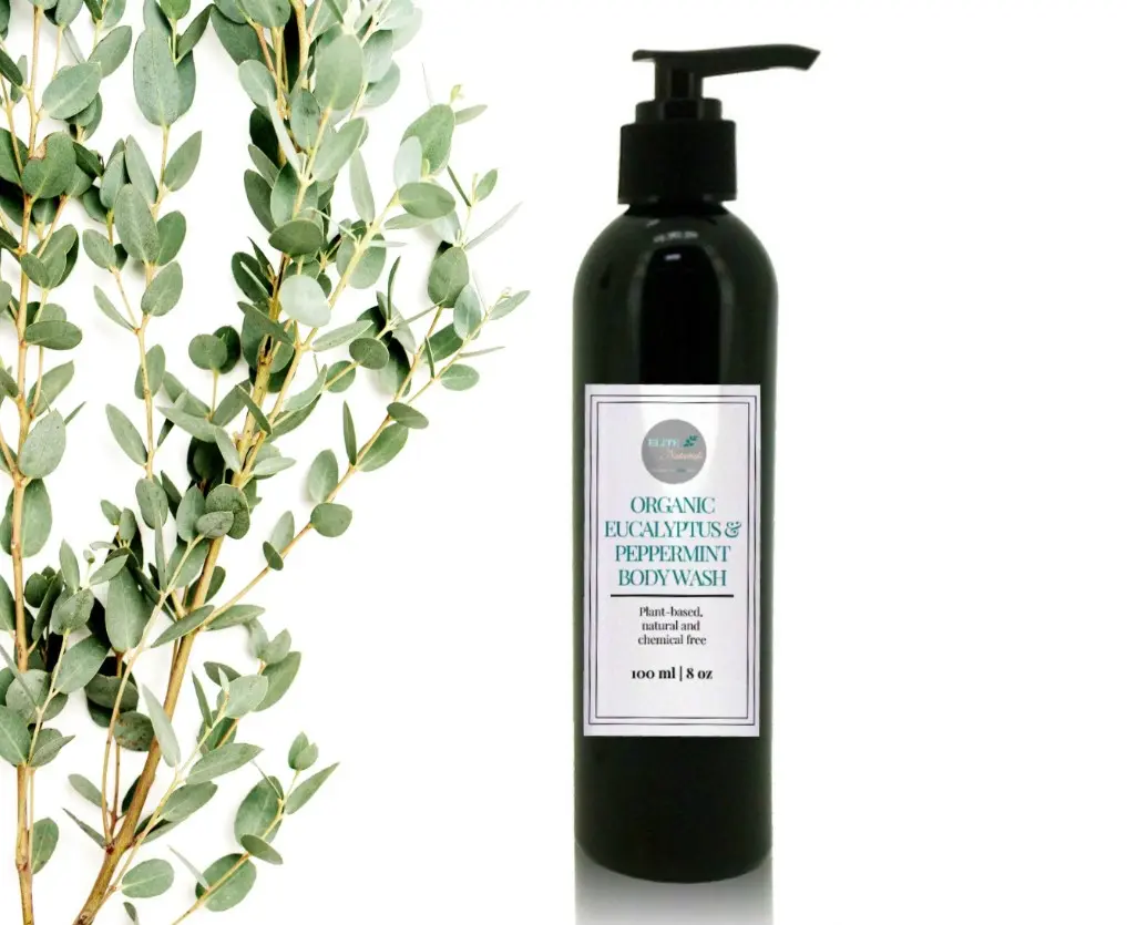 Organic Eucalyptus & Peppermint Body Wash || Natural Shower Gel