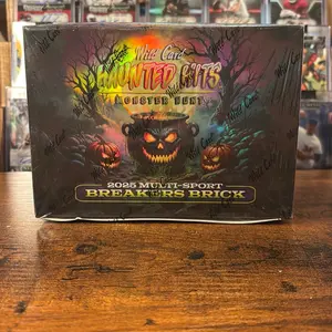 Wild Card Inc. Haunted Hits Breakers Brick
