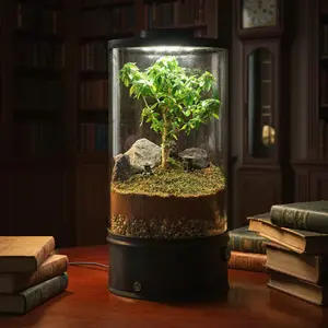 Eda | The Bonsai Terrarium | NANO