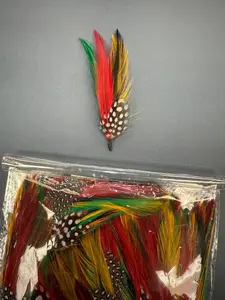 1 PLUMA STETSON STYLE