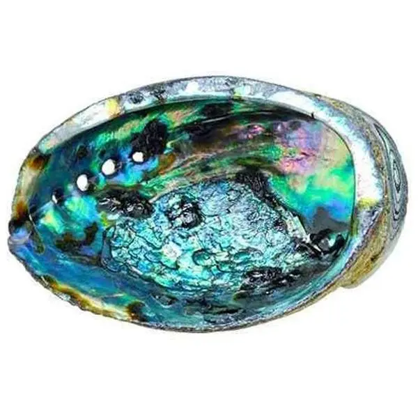 Natural Green Abalone Shell Decorative Bowl - 6-7 in Tableware with Silver-Iridescent Hues, Coastal Vibes Home Decor, Crystal Display & Smudging Use, Limited-Quantity Gift for Sacred/Living Spaces with Natural Variation