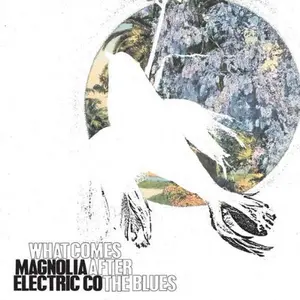 Magnolia Electric Co. - What Comes After the Blues  [VINYL RECORD - LP]