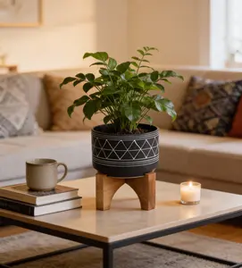 Black Geometric Ceramic Planter with Wood Stand