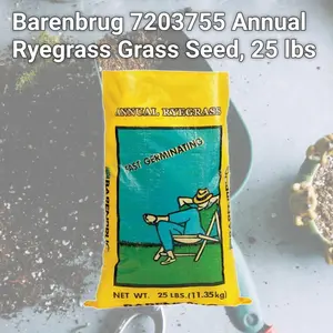 212 MAIN Barenbrug 7203755 Annual Ryegrass Turf Grass Seeds Mix, 25lb Bagged Home Planting Seeds, Sun/Shade Tolerant Garden Supply for Home Improvement