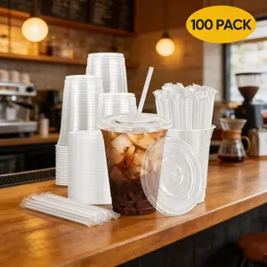 100-Pack Disposable Cold Drink Cups with Lids and Straws Transparent Plastic Cups 16oz to 16oz,20oz,24oz Sturdy BPA-Free for Parties Picnics Barbecues and Travel