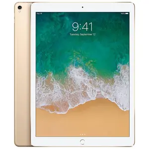 Refurbished Apple iPad Pro 12.9 (2nd Gen) A1671 (WiFi + Cellular Unlocked) Excellent Condition with 1 Year Warranty