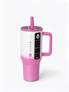 HydroJug 32oz Gradient Pink Water Bottle with Handle, Flip-Top Straw – Can be placed in a Cup Holder, Leak-Proof and Insulated – Reusable Stainless Steel and Rubber Base – Suitable for Gift Giving for Both Men and Women tumbler cup