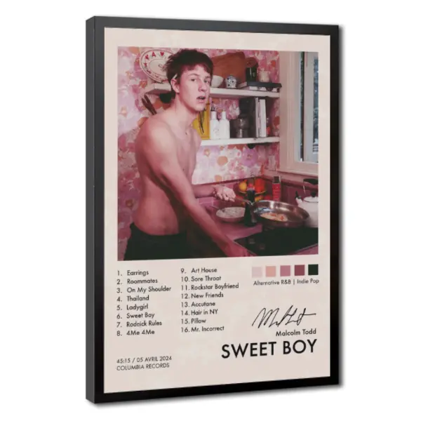 Malcolm Todd Artistic Sweet Boy Canvas Wall Art Print - Music Album Poster, Alternative R&B Indie Pop Decor, 12x16 in for Music Fans' Trendy Bedrooms