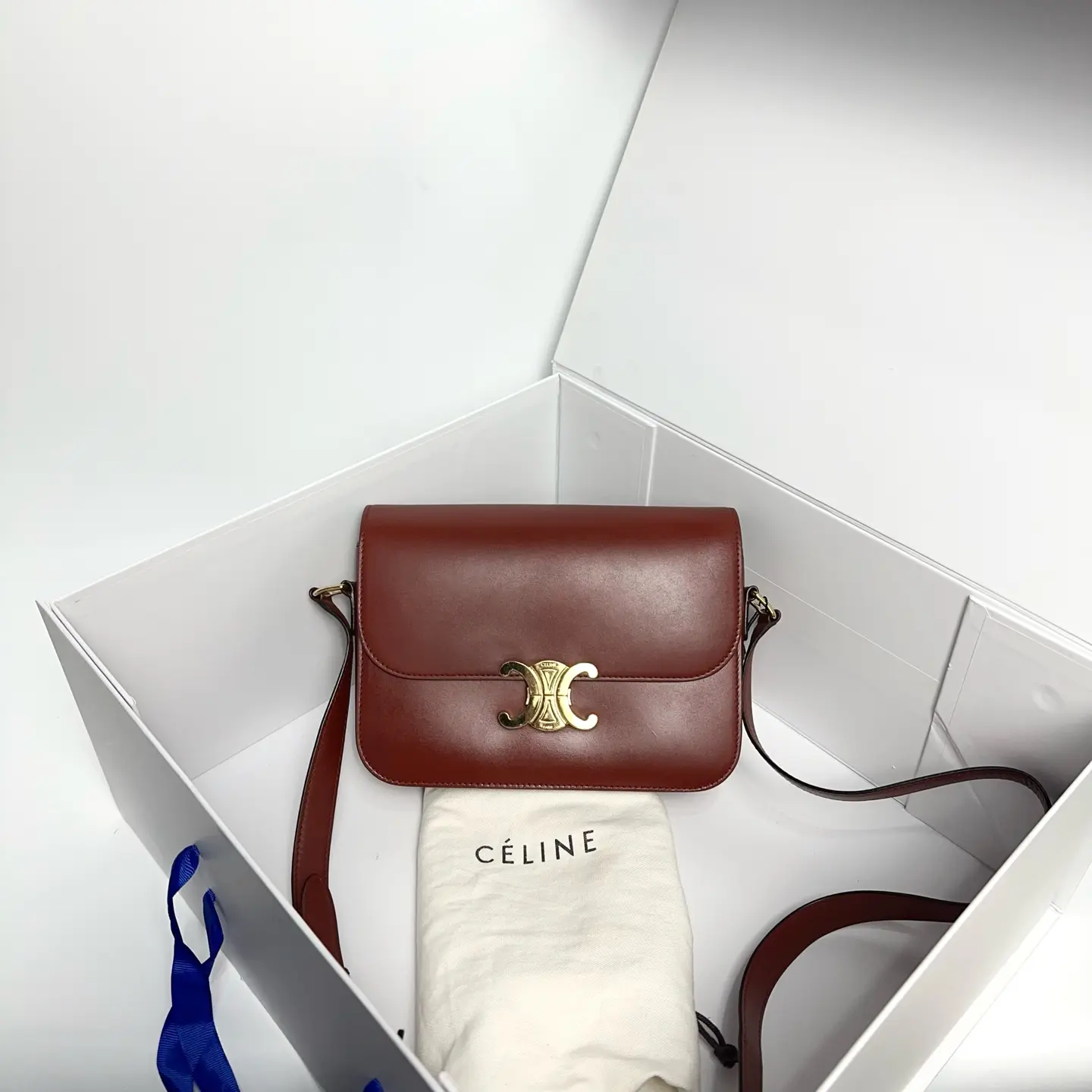 Pre-owned CÉLINE Leather Triomphe Flap Shoulder Bag 0809 raye 23041988
